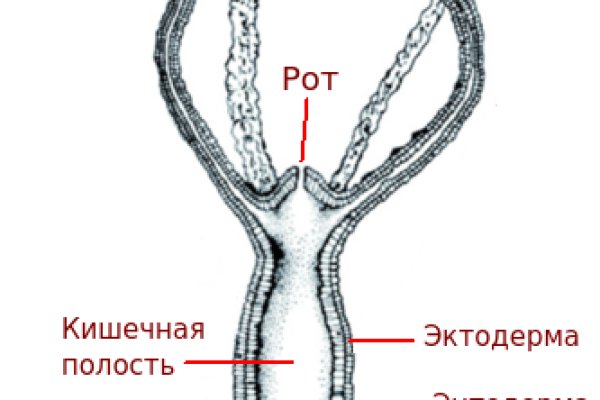 Ссылка кракен даркнет маркет