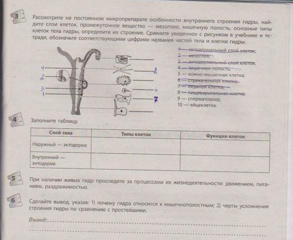 Кракен интернет площадка